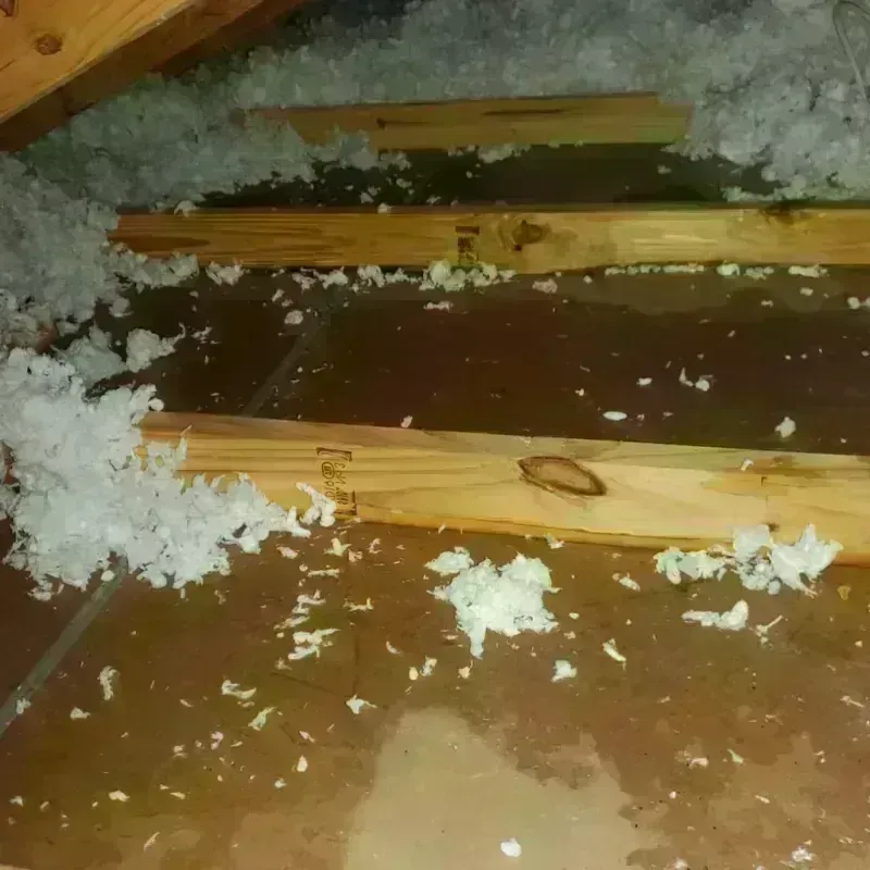 Attic Water Damage in Massena, NY